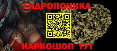 прущие крисы Кулебаки