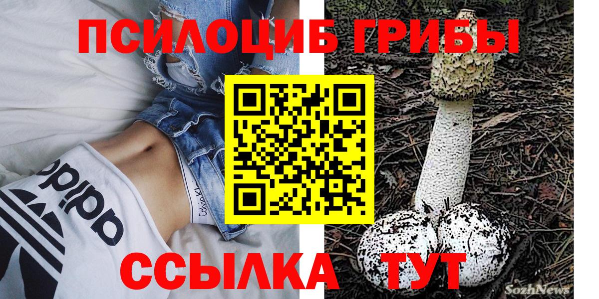 где купить наркоту  Галлюциногенные грибы Psilocybe  Вход с VPN  Зеленодольск 